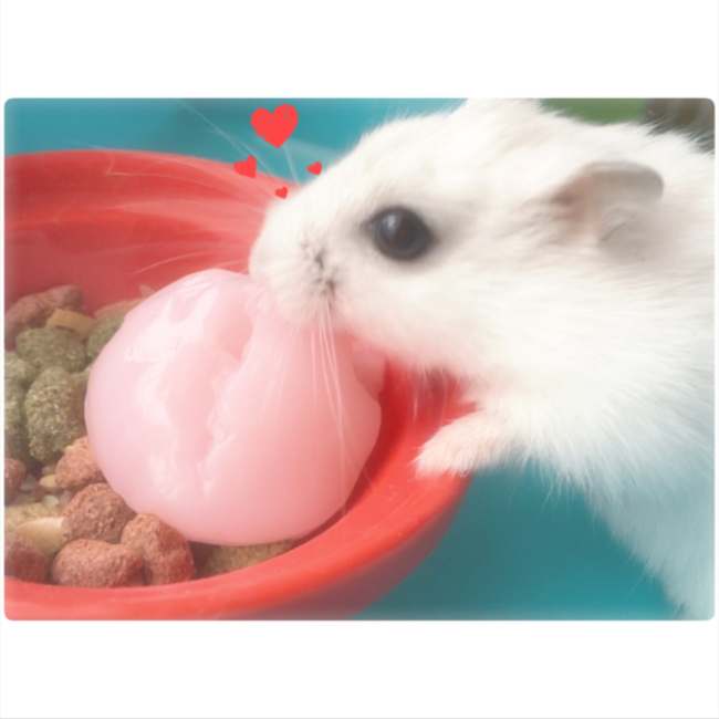 maaa︎☺︎︎☺︎のカバー写真