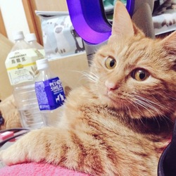 GW中のハプニング