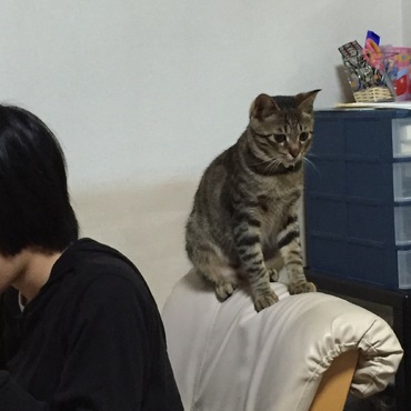 安心して食事して下さい！僕がしっかり見張ってますので(￣^￣)ゞ