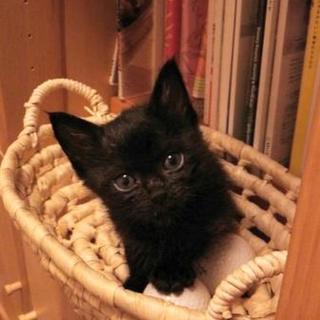 のんびりマイペースな男の子