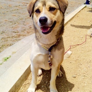 素敵な家族ができました♪