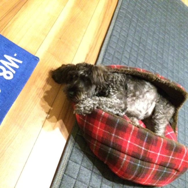 むぎのママのカバー写真