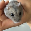 みんな決まりました、ありがとうございます。