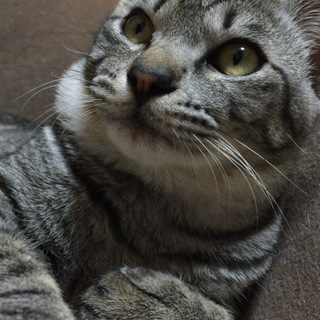甘えん坊くん♪
