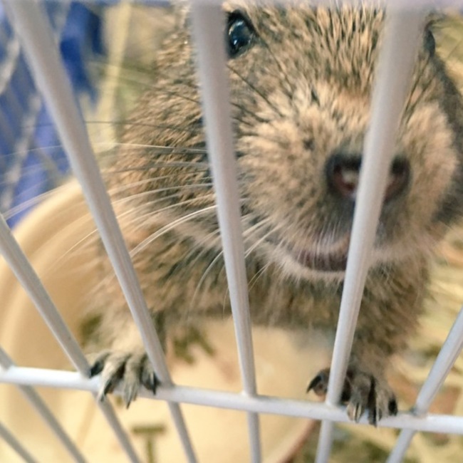 f.nのカバー写真