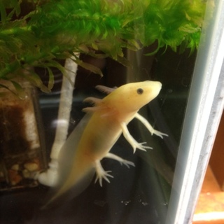 決まりました！