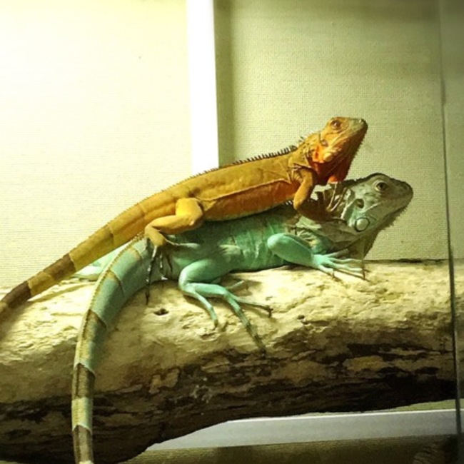 たつやくんのカバー写真