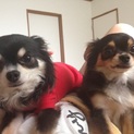 小太郎の新しいご主人さん