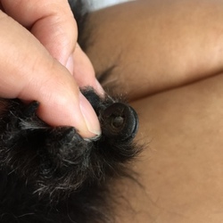 チョコたん・番外編