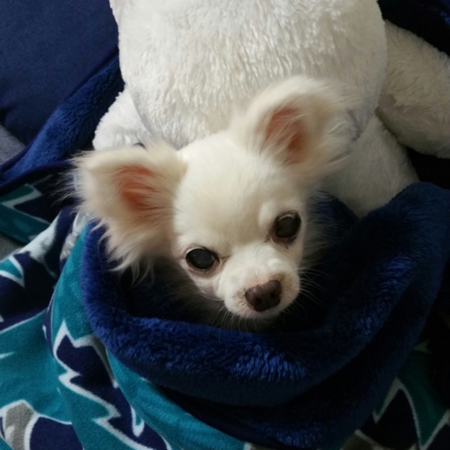 mamai54のカバー写真