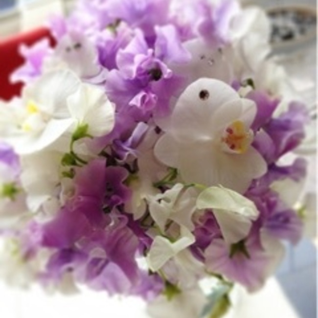 kamomasのカバー写真