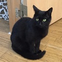 ⭐️ジローくんはイケメン