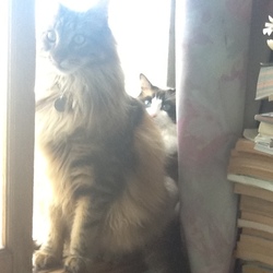 「こんな所にはまり込まなくとも」サムネイル1