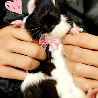 ボーちゃん