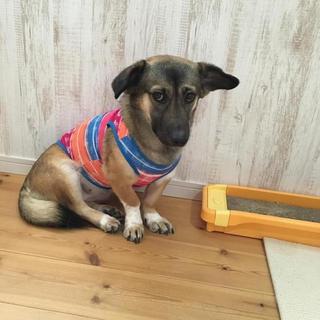 青空に笑顔をください☆