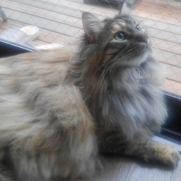 3歳 7.5㎏です。