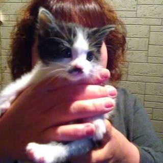 元気なシロクロです