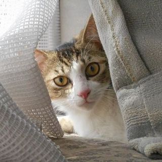 美少年のえぃちゃんです。