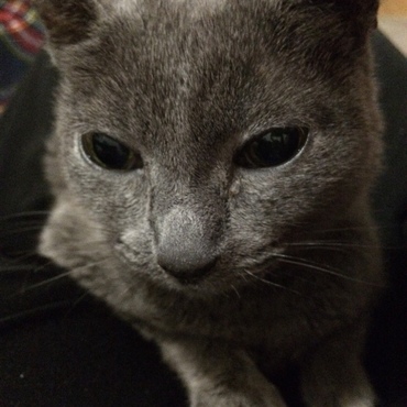 の写真