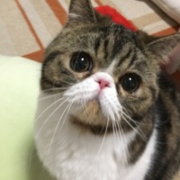 まる