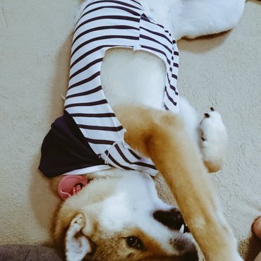 ねぇねぇ〜〜遊んで〜〜〜