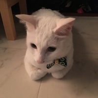 ルネ