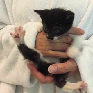 白ハイソックス柄が可愛い男の子♪