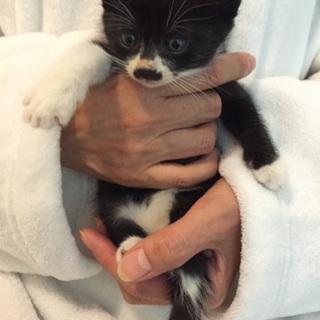 ちょびヒゲ柄が可愛いクロシロ男の子！