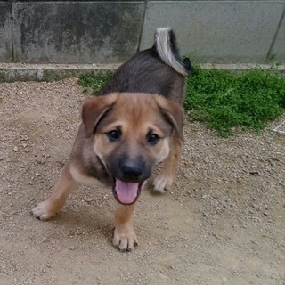 2月20日頃生まれのいちのちゃん