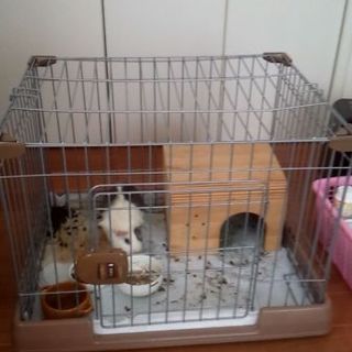 最後まで可愛がってくれる方。