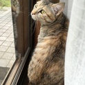 家族になってください♪一時停止