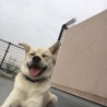 の写真