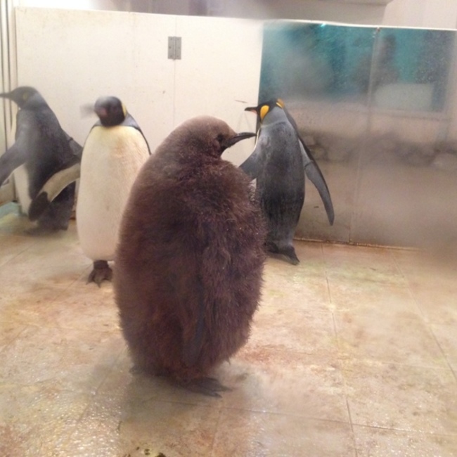 あさみ629のカバー写真