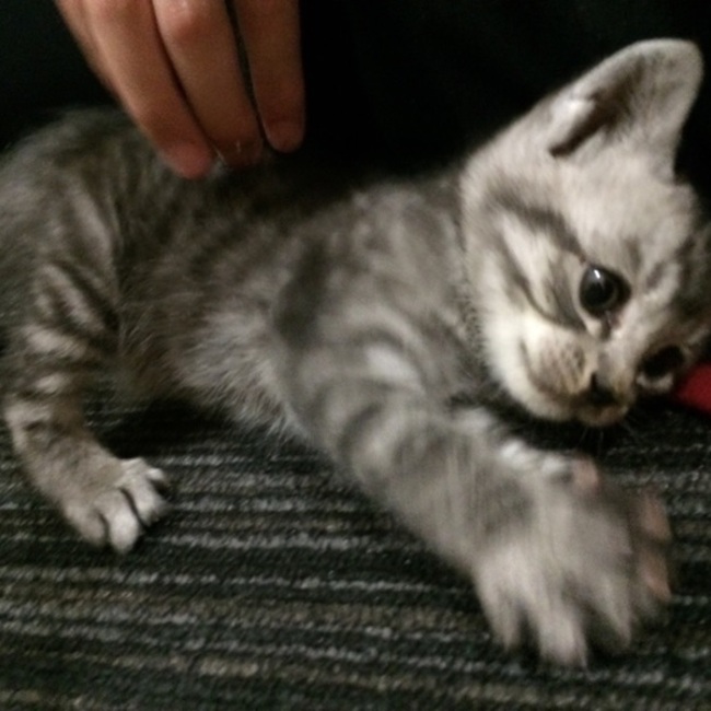 ゆきちょこのカバー写真