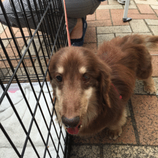 だっくん、いい子なんですよー！