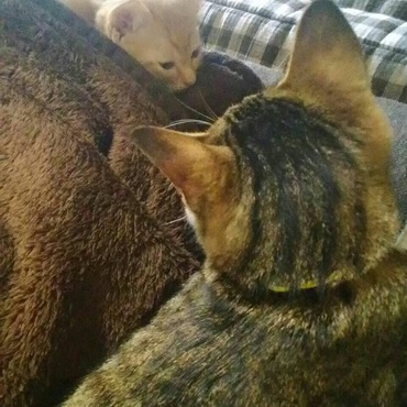 見つめ合う２人♡でも、♂同士（笑）