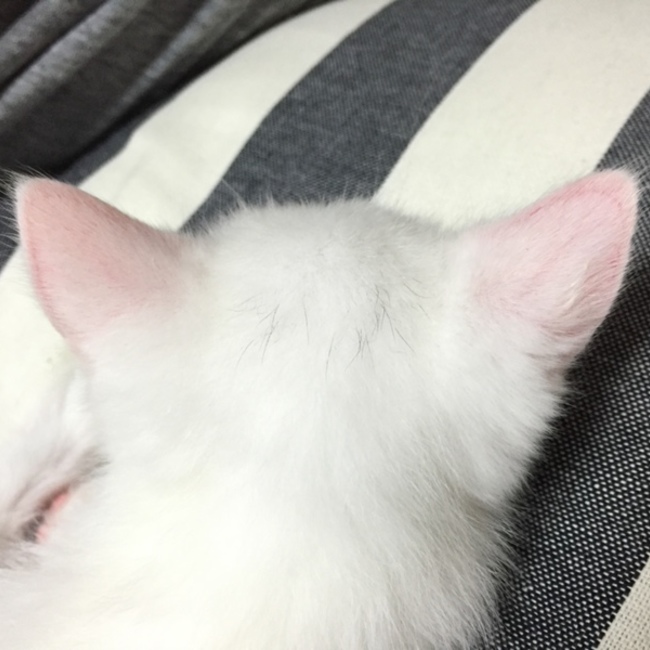 119ちーのカバー写真
