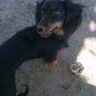 ケイ　　甘えん坊の男の子