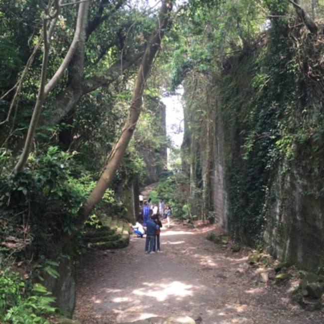まさまさややすやすのカバー写真