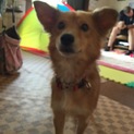 ありがとうございました