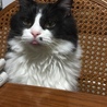 の写真