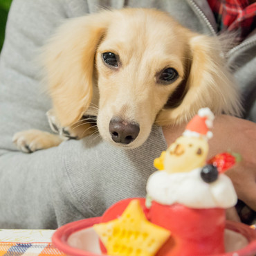 2015年のクリスマスです★