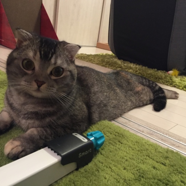 けいこもんきーのカバー写真