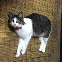 むむ