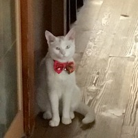 のり