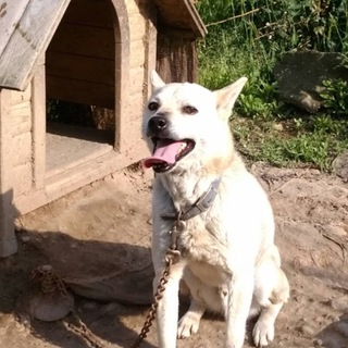 3ヶ月以内に里親探さなくてはなりません！