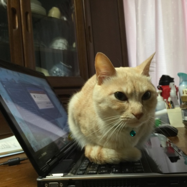 haruna2145のカバー写真