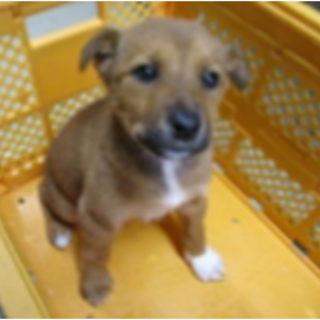 交渉中！緊急募集です！どうぞ宜しくお願いします！4