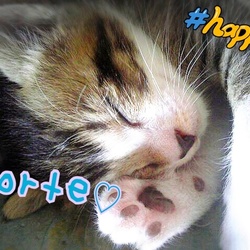 初めて見る寝顔