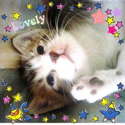 「初めて見る寝顔」サムネイル2